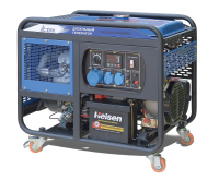 Дизельный генератор ТСС SDG 12000EHA с АВР 111131 для дома фото