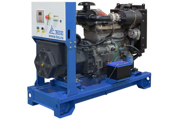 Дизельный генератор ТСС АД-30С-Т400 в контейнере с АВР 025305 в контейнере фото
