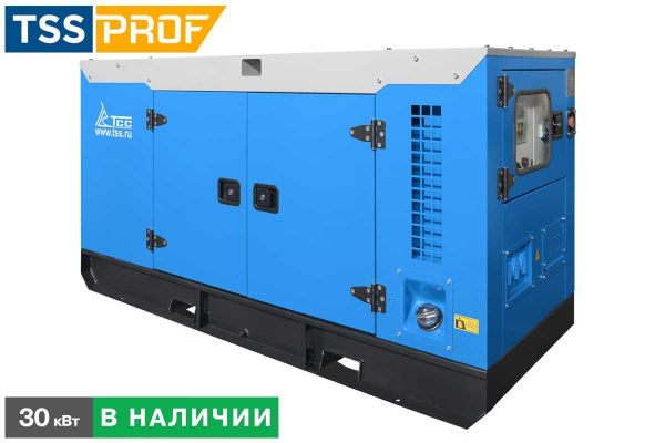 Дизельный генератор ТСС АД-30С-Т400-1РКМ7 в шумозащитном кожухе 025734 бесшумный Дизельный генератор ТСС АД-30С-Т400-1РКМ7 в шумозащитном кожухе 025734 бесшумный фото