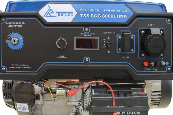 Бензиновый генератор ТСС SGG 8000EHNA в кожухе МК-1.1 4-х тактный фото
